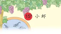 统编版（2024）三年级下册小虾评课ppt课件