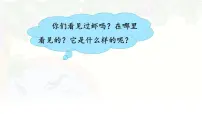 统编版（2024）三年级下册小虾教学ppt课件