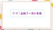 小学统编版（2024）习作：我做了一项小实验教学ppt课件