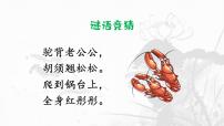 统编版（2024）三年级下册小虾评课ppt课件