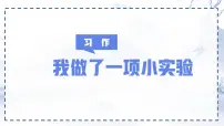 小学语文习作：我做了一项小实验评课课件ppt