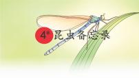 小学语文统编版（2024）三年级下册昆虫备忘录备课课件ppt
