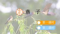 统编版（2024）三年级下册燕子教学ppt课件