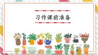 统编版（2024）三年级下册习作：我的植物朋友教学课件ppt