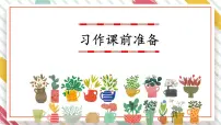 统编版（2024）三年级下册习作：我的植物朋友教学课件ppt