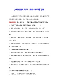 小升初语文复习：病句 专项练习题（含答案解析）
