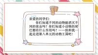 统编版(2024)一年级下册(2024)棉花姑娘备课课件ppt