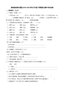 湖南省常德市澧县2024-2025学年六年级下学期语文期中考试试卷