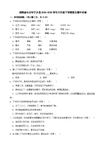 湖南省长沙市宁乡县2024-2025学年六年级下学期语文期中试卷
