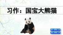 统编版（2024）三年级下册习作：国宝大熊猫示范课ppt课件