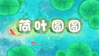 小学荷叶圆圆背景图课件ppt