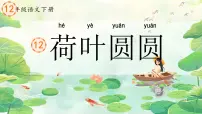 小学语文统编版（2024）一年级下册（2024）荷叶圆圆教案配套ppt课件