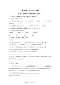 统编版2024_2025学年广东中山六年级下册期中考试语文试题