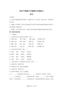 统编版2024_2025学年河南南阳社旗县六年级下册期中考试语文试题