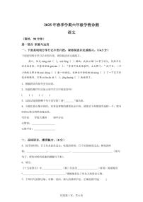 统编版2024_2025学年河南三门峡湖滨区六年级下册期中考试语文试题