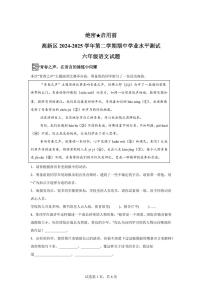 统编版2024_2025学年山东济宁高新区六年级下册期中考试语文试题