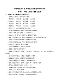 四年级语文下册期末高频考点训练 专项2 词语（成语）理解与运用（原卷+答案）2024-2025学年 统编版