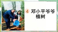 小学语文统编版（2024）二年级下册邓小平爷爷植树教学ppt课件