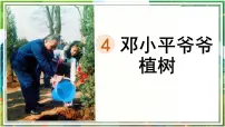 小学语文统编版（2024）二年级下册邓小平爷爷植树教学ppt课件