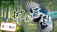 小学语文统编版（2024）一年级下册（2024）树和喜鹊完美版课件ppt
