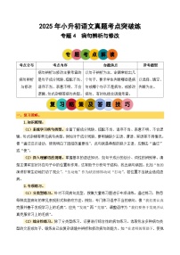 2025年小升初语文考点突破训练专题4病句辨析与修改(学生版+解析)
