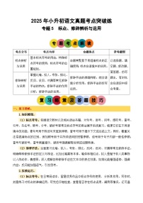 2025年小升初语文考点突破训练专题5标点、修辞辨析与运用(学生版+解析)