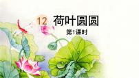 小学统编版（2024）荷叶圆圆集体备课ppt课件