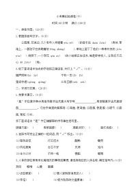 六年级下册语文小升初模拟检测卷（十）  部编版  含答案