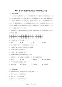 2024年山东省菏泽市成武县小升初语文试卷（含答案）