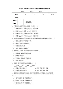 2025年师专附小六年级下册小升初语文模拟试题（三）附解析答案