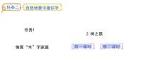 小学语文统编版（2024）二年级上册（2024）2 树之歌课文内容课件ppt