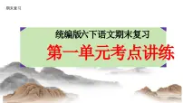 六年级语文下册 第一单元考点讲练(课件)2024-2025学年语文六年级下册统编版