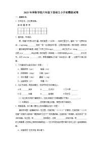 永州市2025年华阳学校六年级下册语文小升初模拟试卷（四）（含答案）