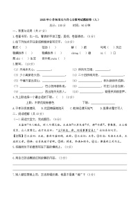 2025年小升初语文六升七分班考试模拟卷（九）