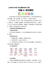 专题06 病句辨析（讲义+试题）原卷+参考答案  2025年五升六语文暑假衔接课（统编版）