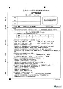 湖南省长沙市宁乡市2024-2025学年四年级下学期6月期末语文试题