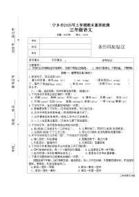 湖南省长沙市宁乡市2024-2025学年三年级下学期6月期末语文试题（含答案）