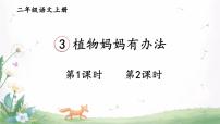 小学语文3 植物妈妈有办法课文内容课件ppt