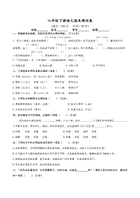 期末测试卷（试题）2024-2025学年统编版语文六年级下册