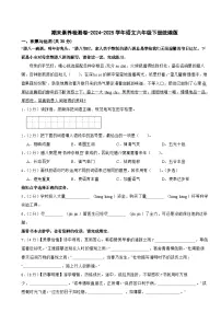 期末素养检测卷-2024-2025学年统编版语文六年级下册