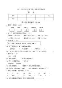 期末语文测试卷（试题）2024-2025学年统编版语文六年级下册