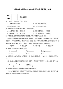 桂林市重点中学2025年六年级小升初入学测试语文试卷（九） 含解析