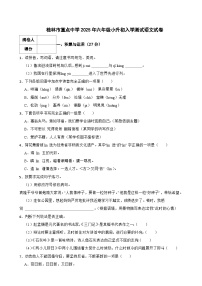 桂林市重点中学2025年六年级小升初入学测试语文试卷（三） 含解析