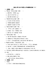 宝安小学2025年语文小升初模拟试卷（二）(学生版)