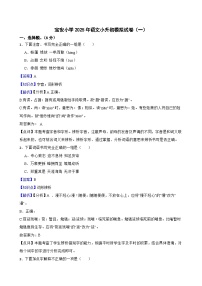 宝安小学2025年语文小升初模拟试卷（二）(教师版)