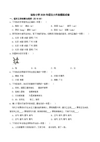 宝安小学2025年语文小升初模拟试卷（一）(学生版)