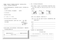 统编版二年级语文下册期末专项复习卷四（口语交际与写话）（含答案）