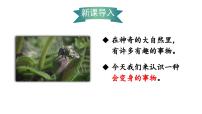 统编版（2024）二年级上册（2024）2 我是什么集体备课ppt课件