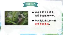 小学语文统编版（2024）二年级上册（2024）2 我是什么背景图ppt课件