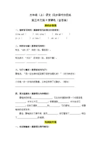 统编版（2024）三年级上册（2024）9 犟龟精品课后作业题